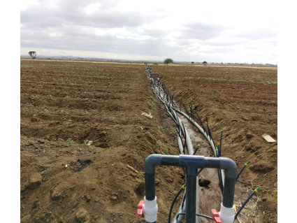 Drip Irrigation Lines