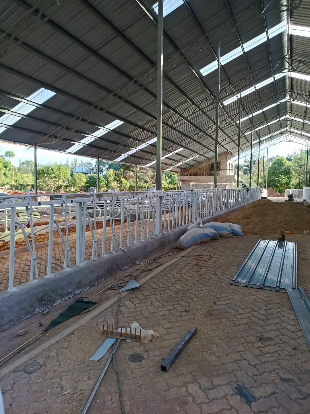 Eldoret Dairy Barn — 250 Heads